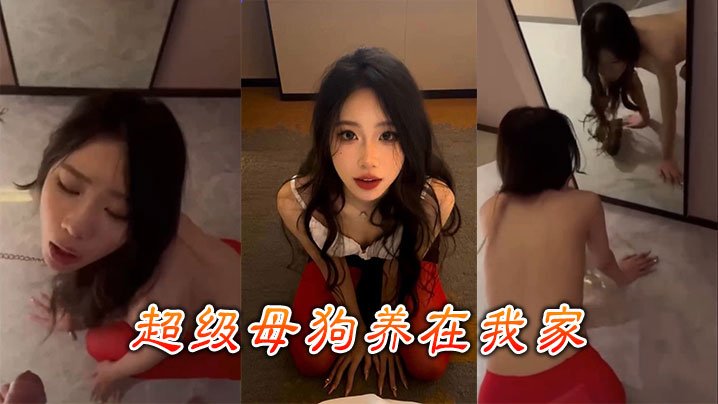 超级母狗养在我家